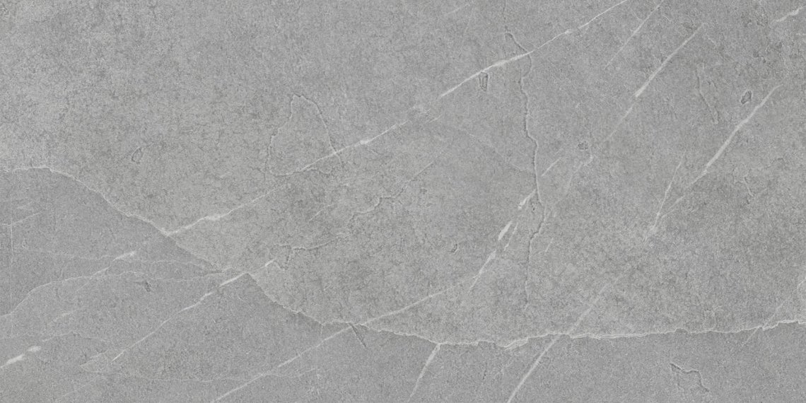 Pamesa Pietra Di Lavagna Argento 60x120