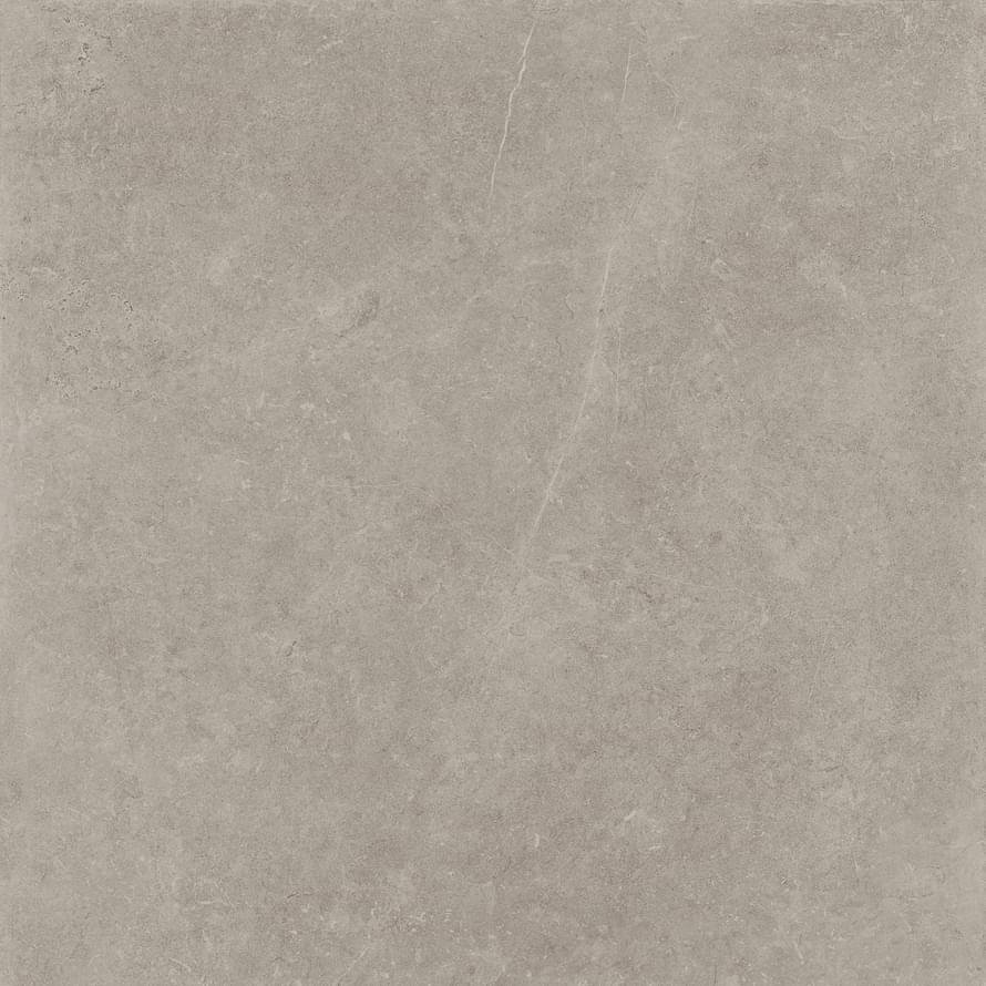 Panaria Prime Stone Silver Soft Rect 60x60