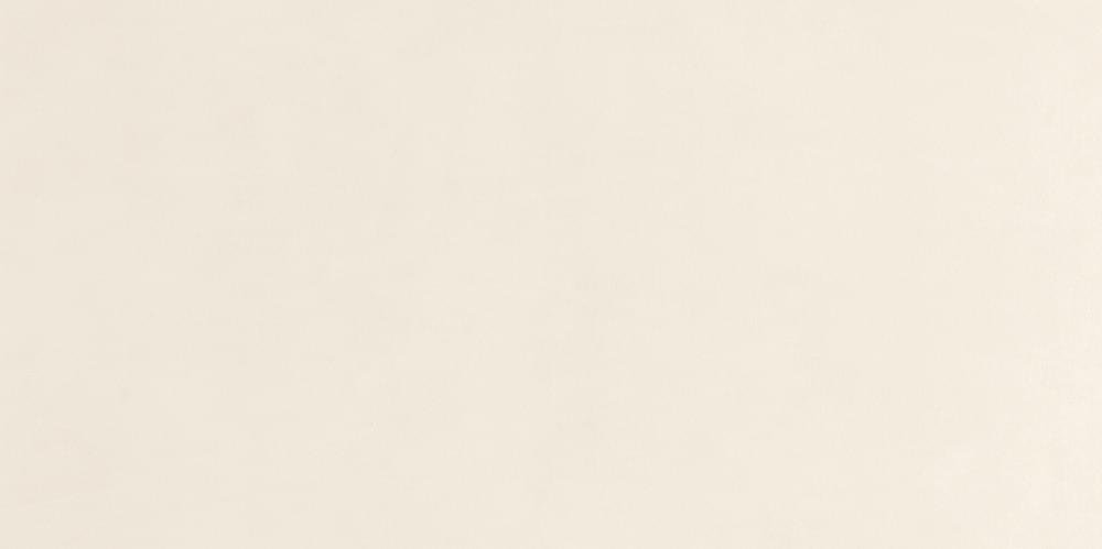 Panaria Zero.3 Experience Bianco Denso 50x100