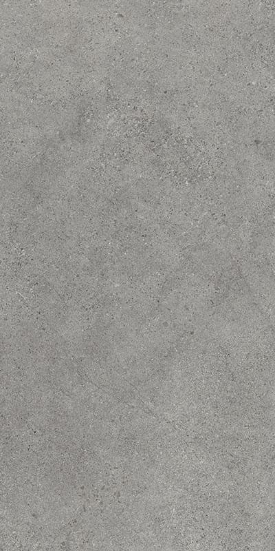 Paradyz Authority Grey Mat 60x120