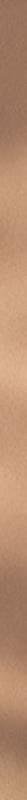 Paradyz Universal Borders Metalowa Gold Border 2x60