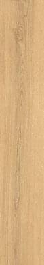 Peronda Museum Grow Honey Sp R 24x151
