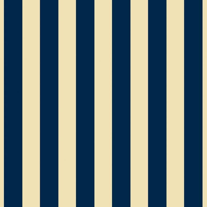 Petracers Grand Elegance Riga Grande Blu Su Crema 20x20