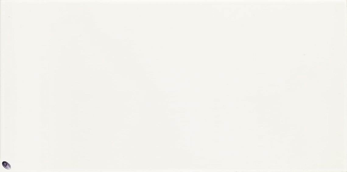Piemme Valentino Elite Firma Bianco 30x60.2