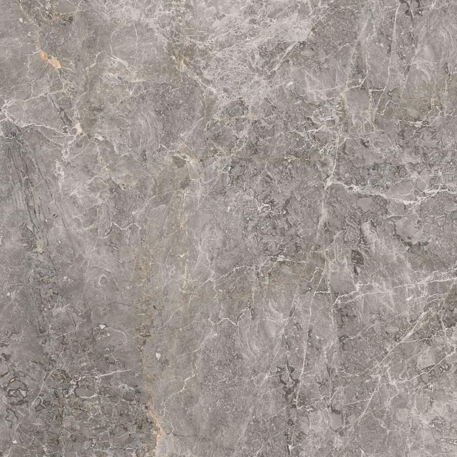 Porcelanosa Elegant Grey Matt 59.6x59.6
