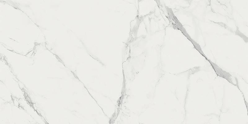 Ragno Imperiale Statuarietto Glossy Rect 58x116