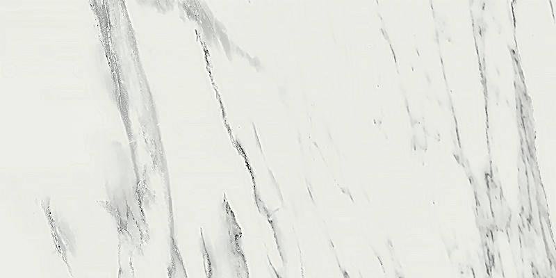 Ragno Imperiale Venato Glossy Rect 58x116