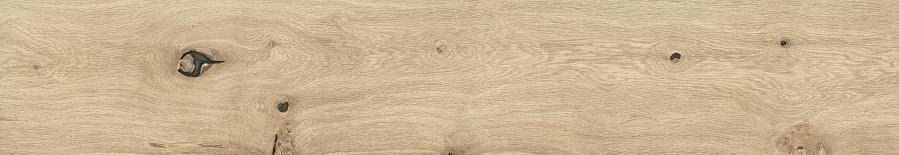 Ragno Iroveri Albero 20x120