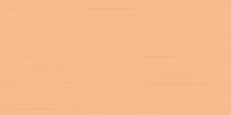 Rako Easy Orange 20x40