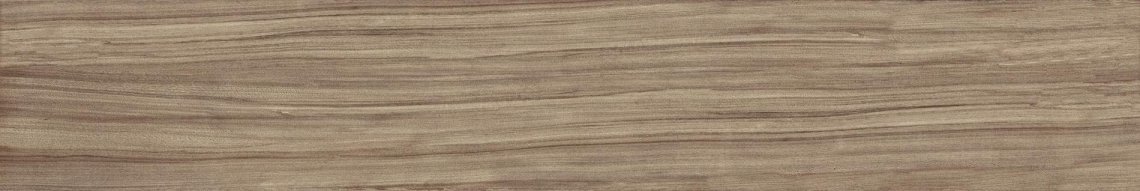 Refin Giant Bark R 25x150