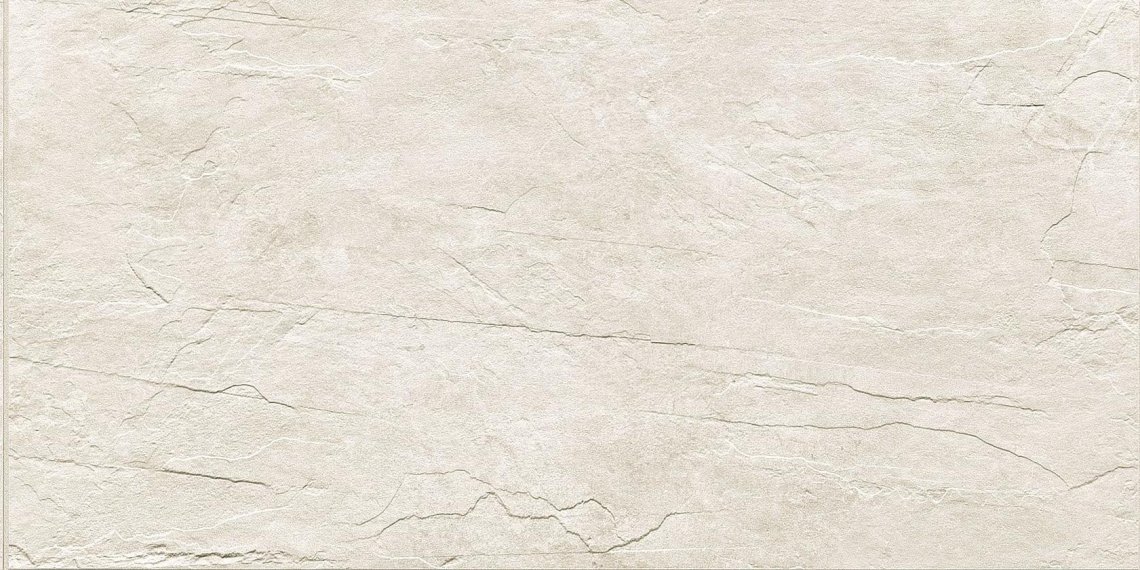 Rex Ardoise Blanc Matte 40x80