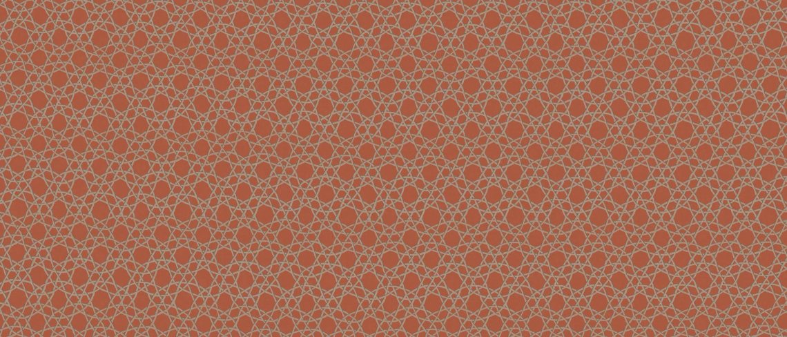 Rex I Filati Happy Hour Scarlatto 6 mm 60x120