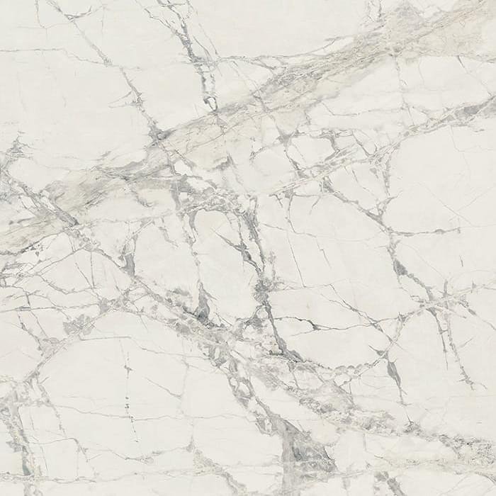 Rex Prexious Mountain Treasure Glossy 80x80