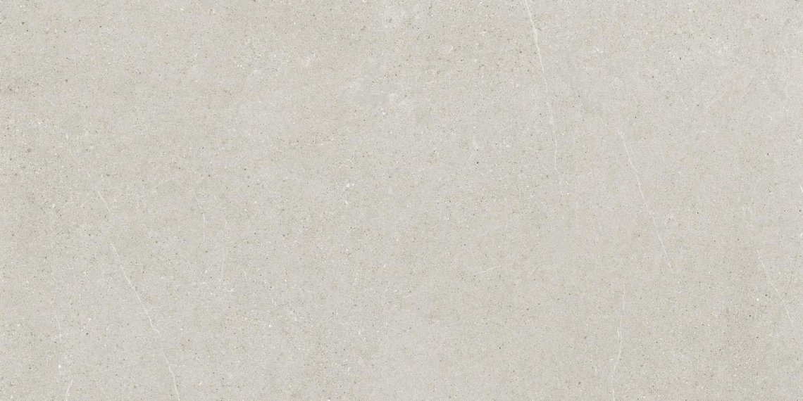 Ricchetti Ease Light Grey Grp 60x120