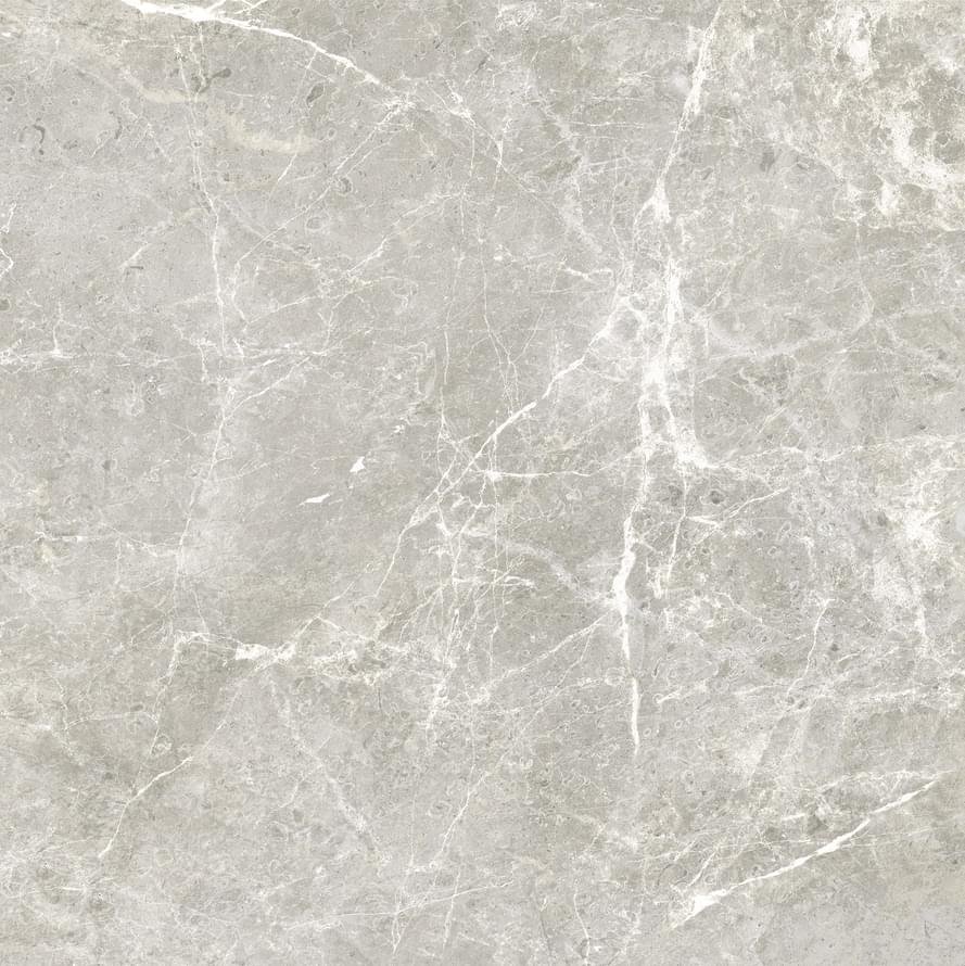 Ricchetti Pure Supreme Grey Nat 60x60