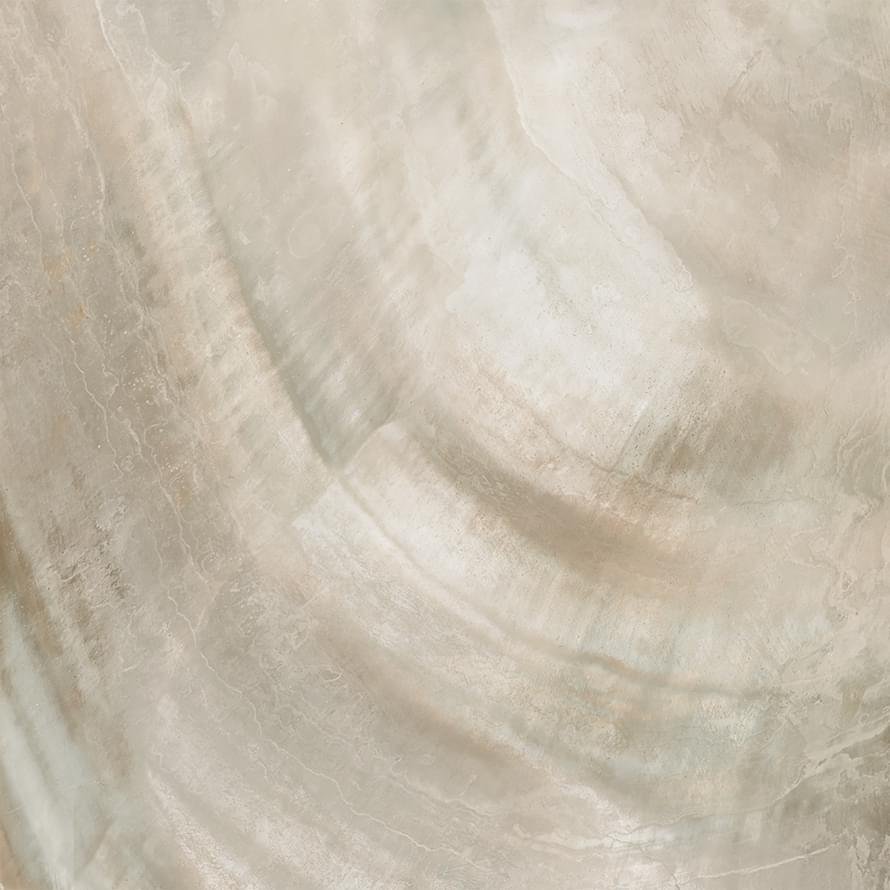 Roberto Cavalli Bright Pearl Bronze Rett. 80x80