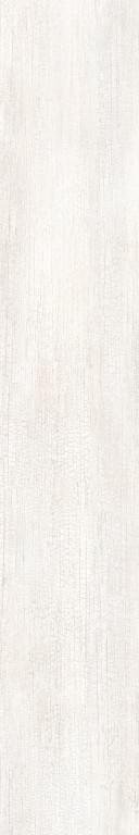 Roberto Cavalli The Wild Spirit Wood Blanc Nt Rt 20x120