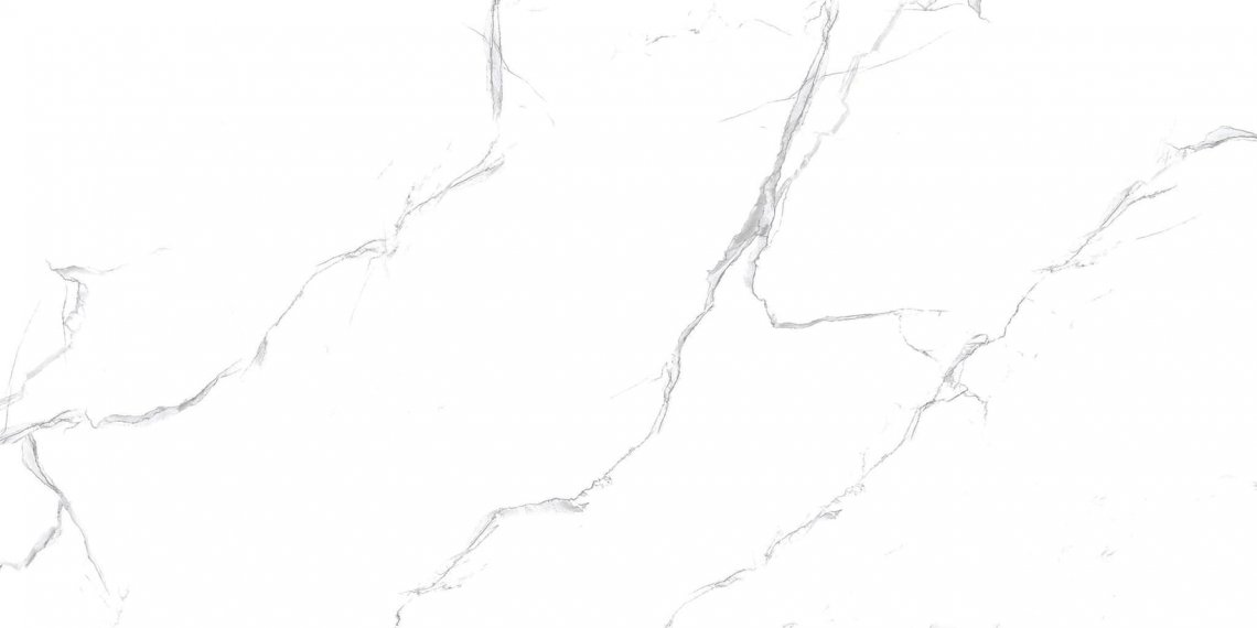 Royce Porcelain Unico White Matt 60x120