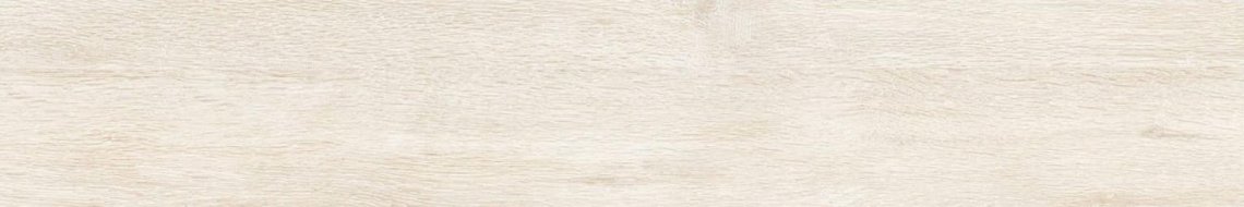 Saloni Autumn Arce 15x90
