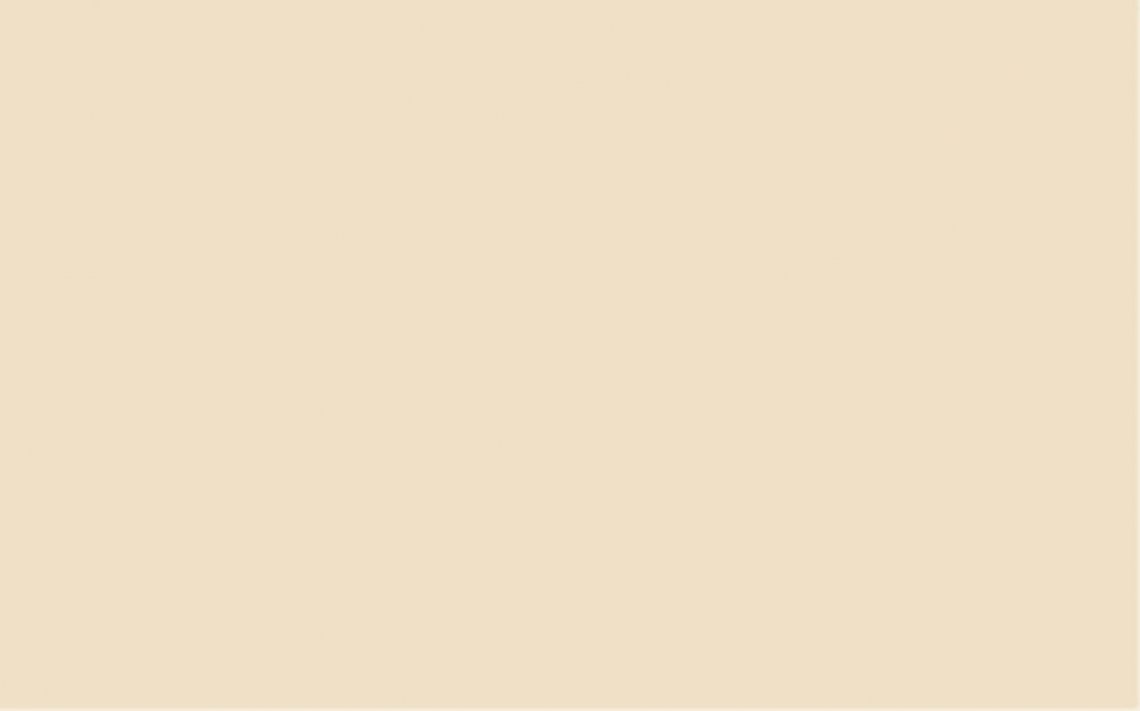 Saloni Corona Corona Beige 25x40