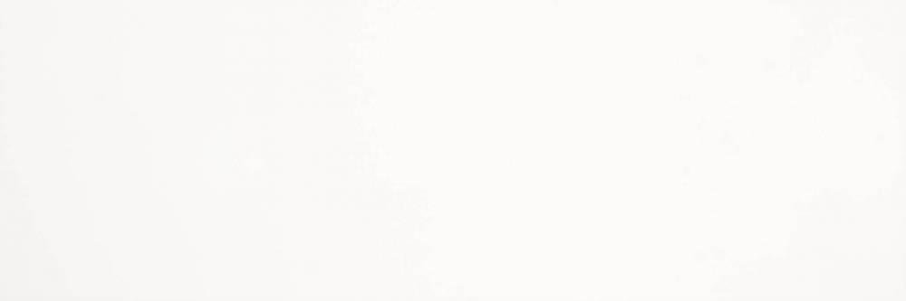 Saloni Eukalypt Vantage Blanco Mate 40x120