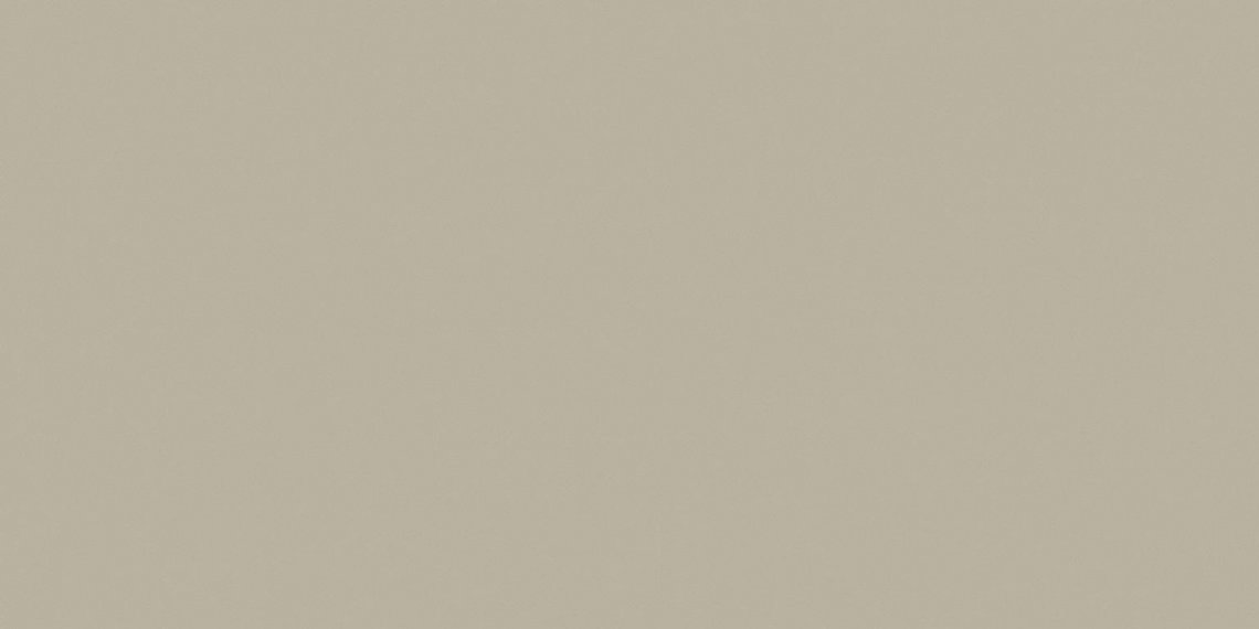Saloni Proyeccion Gris 30x60
