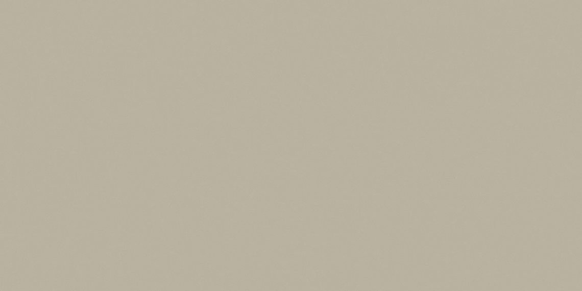 Saloni Proyeccion Gris 60x120