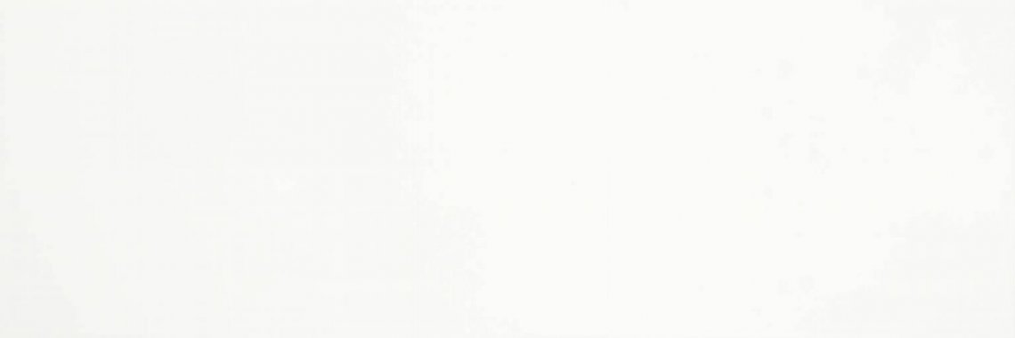 Saloni Vantage Blanco Mate 40x120