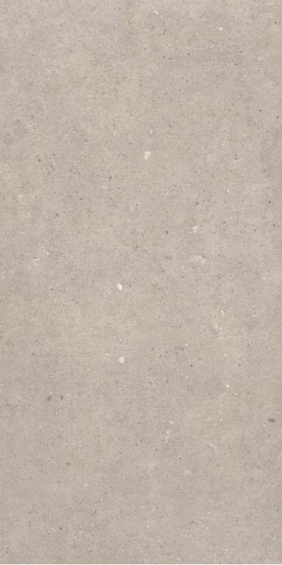 Sanchis Cement Stone Greige Lapp 60x120