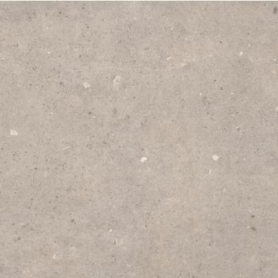 Sanchis Cement Stone Greige Lapp 60x60