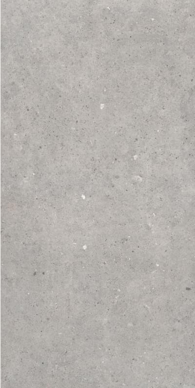 Sanchis Cement Stone Grey Lapp 60x120