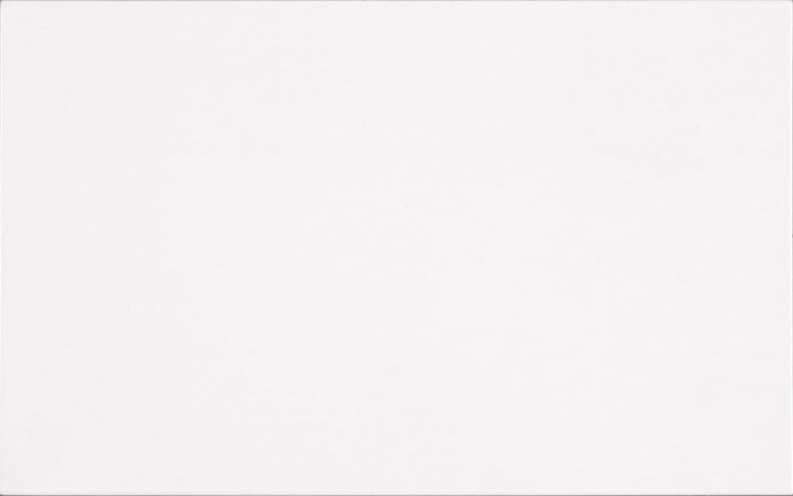 Savoia I Bianchi Bianco Matt 25x40