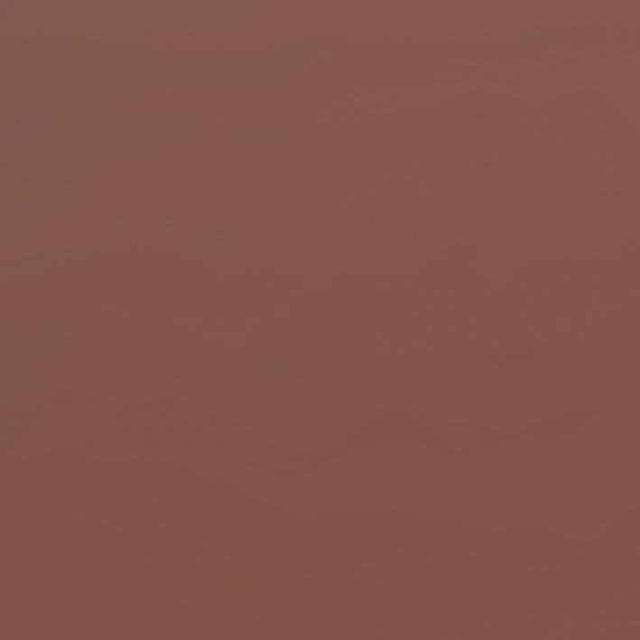 Seranit Serena Cotto Polished 60x60