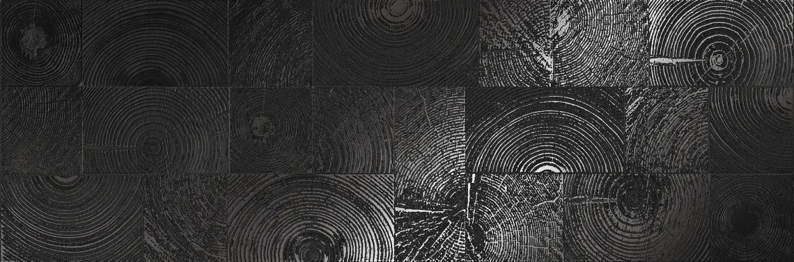 Settecento Matiere Decoro Arbre Black Lappato 24x72
