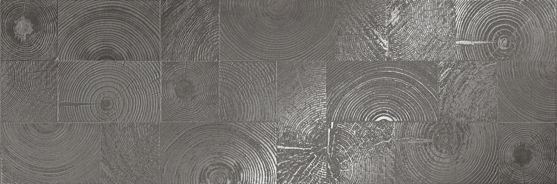 Settecento Matiere Decoro Arbre Grey Lappato 24x72