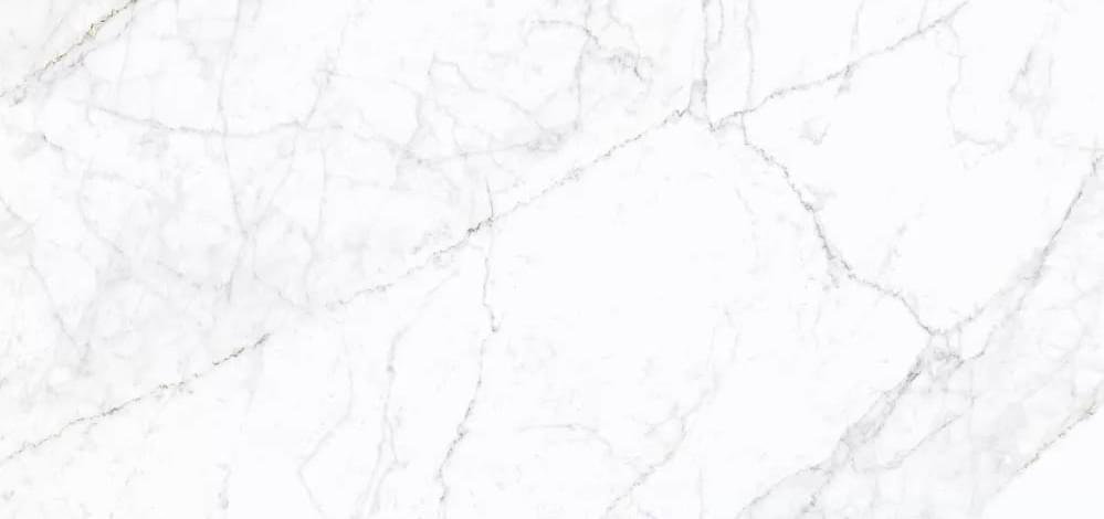 Simpolo Carrara Pg Fogg 59.8x119.8