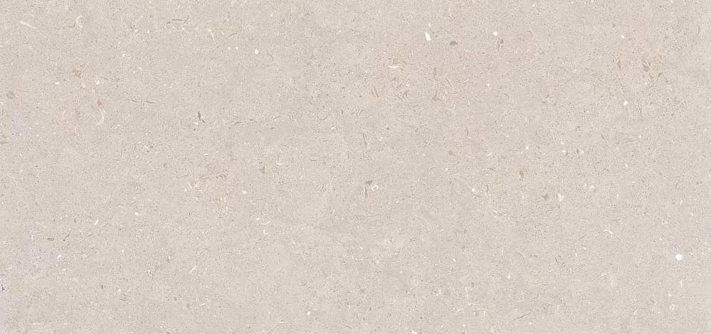 Simpolo Fossil Stx Barley 59.8x119.8