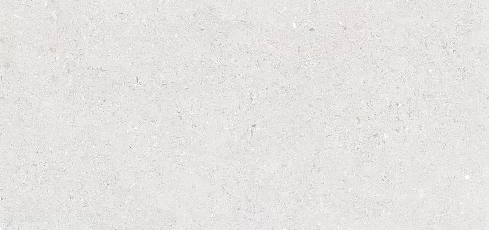 Simpolo Fossil Stx Bianco 59.8x119.8