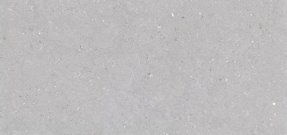 Simpolo Fossil Stx Dove 59.8x119.8