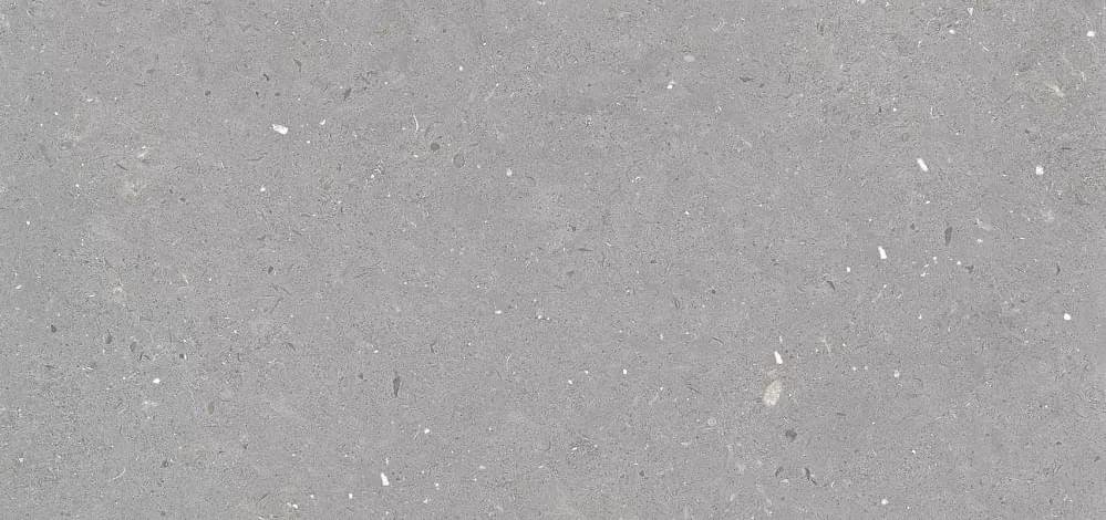 Simpolo Fossil Stx Grey 59.8x119.8