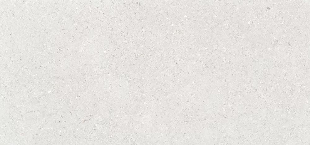 Simpolo Fossil Stx Silver 59.8x119.8