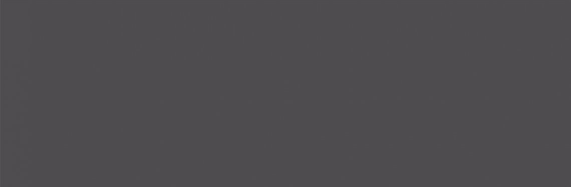 Staro Slab Dark Grey 80x240