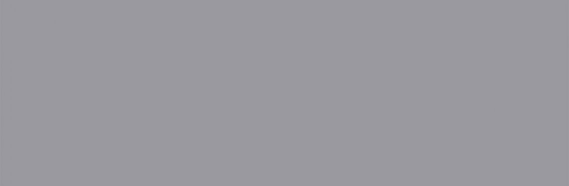 Staro Slab Grey Matt 80x240