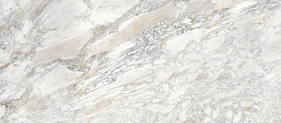 Staro Slab2 Domino Ash A Elegance Polished 120x280