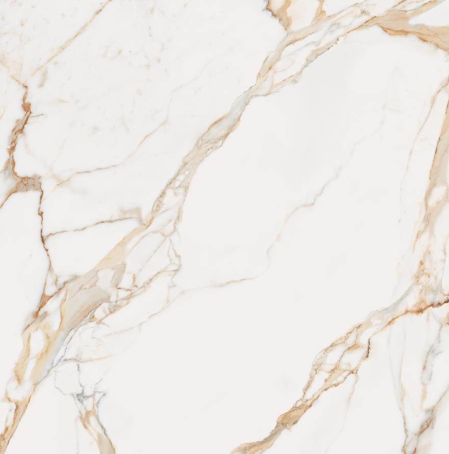 Tagina Calacatta Gold Calacatta Gold 80x80