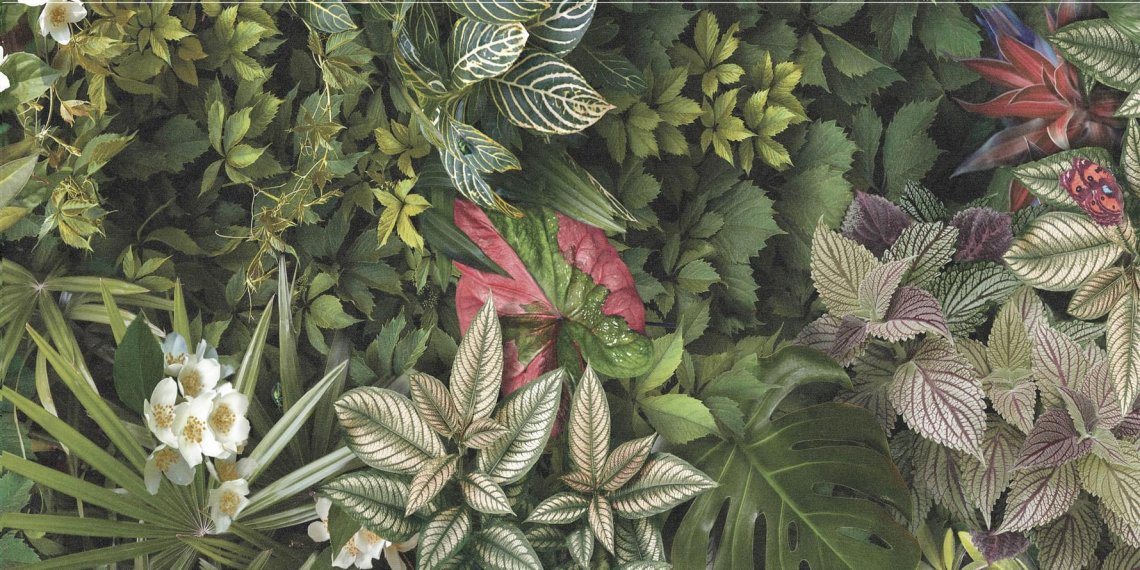 Tagina Decors Forest A 60x120