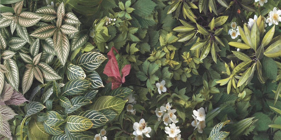 Tagina Decors Forest C 60x120