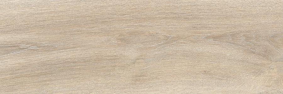 Tagina Evoque Korina 20 mm 40x120
