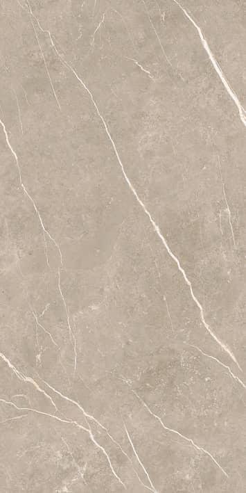 Tau Elite Greige Matt 60x120