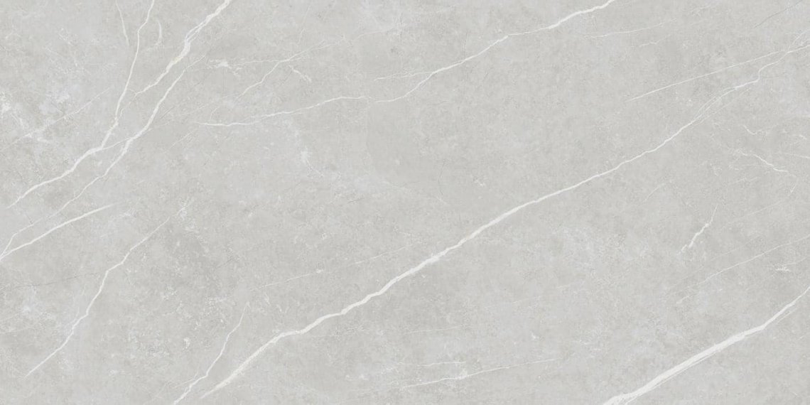 Tau Elite Silver Matt 60x120